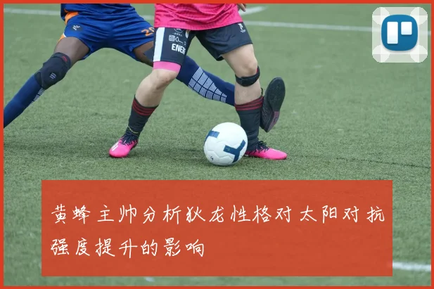 黄蜂主帅分析狄龙性格对太阳对抗强度提升的影响
